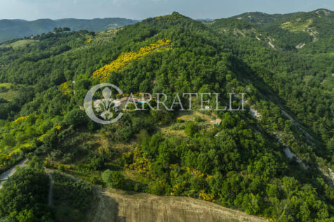 Grazioso casale con 