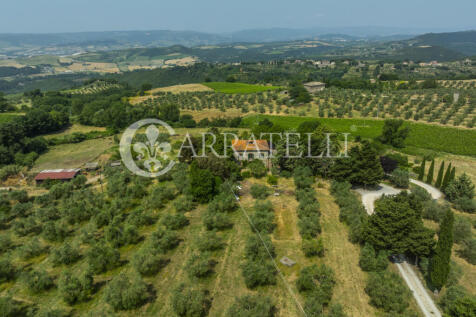 Orvieto podere con a