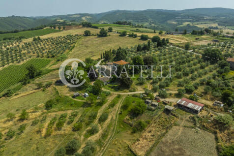 Orvieto podere con a