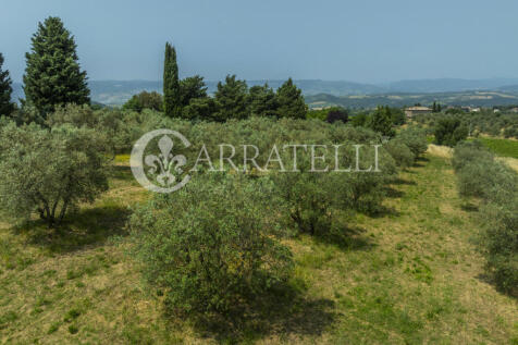 Orvieto podere con a