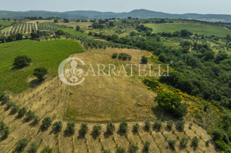 Orvieto podere con a