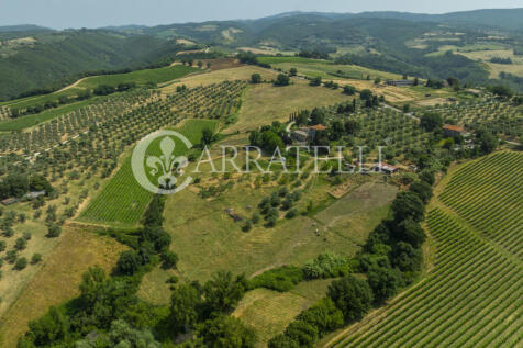 Orvieto podere con a