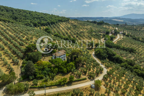 Paciano Tenuta con v