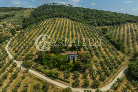 Paciano Tenuta con v