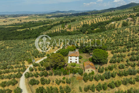 Paciano Tenuta con v