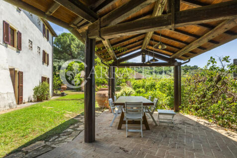 Paciano Tenuta con v