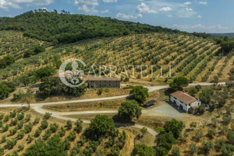 Paciano Tenuta con v