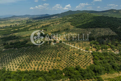 Paciano Tenuta con v