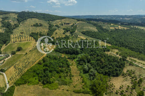 Paciano Tenuta con v