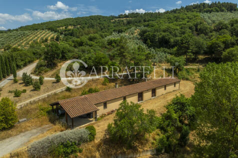 Paciano Tenuta con v