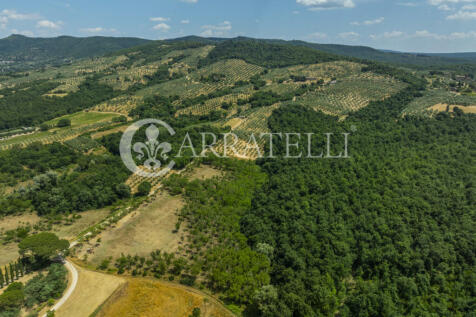 Paciano Tenuta con v
