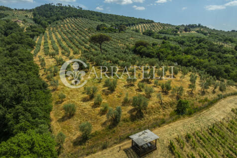 Paciano Tenuta con v
