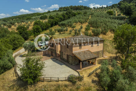 Paciano Tenuta con v