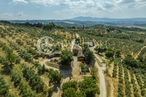 Paciano Tenuta con v
