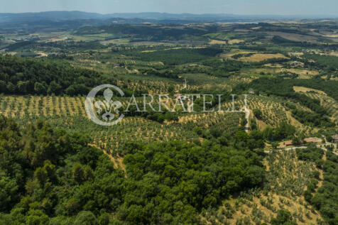 Paciano Tenuta con v