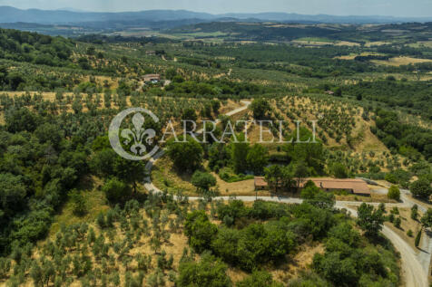 Paciano Tenuta con v