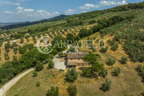 Paciano Tenuta con v