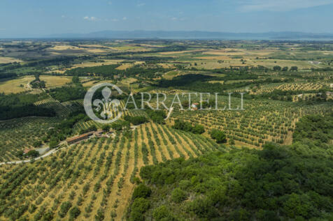Paciano Tenuta con v