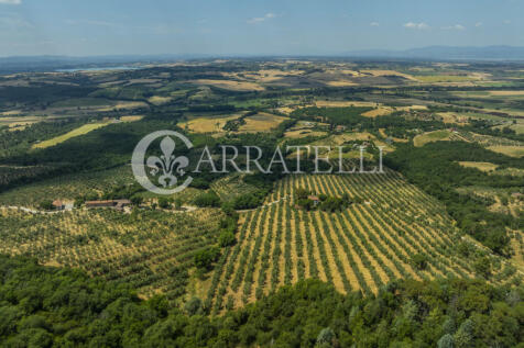 Paciano Tenuta con v