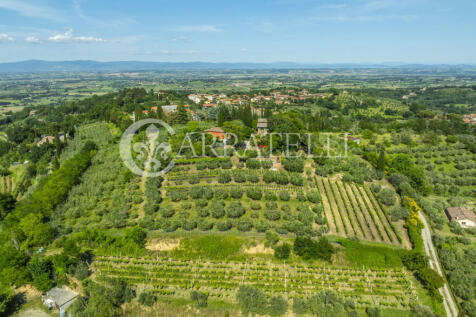 Casale panoramico co