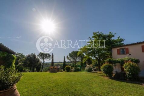 Peccioli colline pis