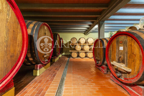 Colline del Chianti 