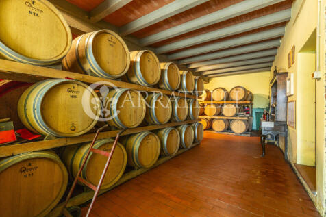Colline del Chianti 