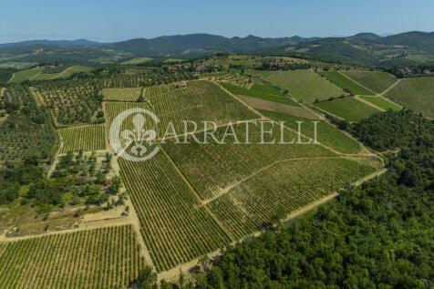 Colline del Chianti 