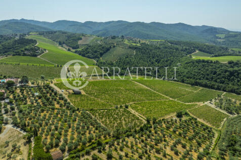 Colline del Chianti 