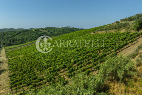 Colline del Chianti 