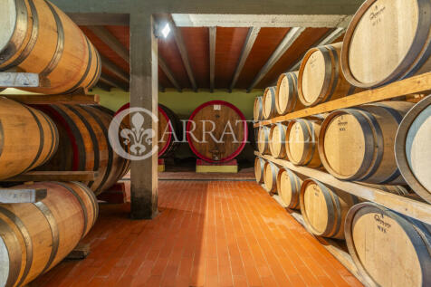 Colline del Chianti 