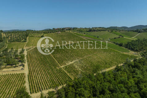 Colline del Chianti 