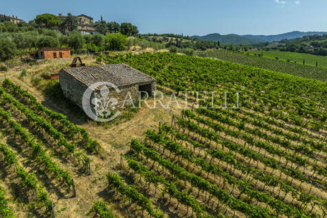 Colline del Chianti 