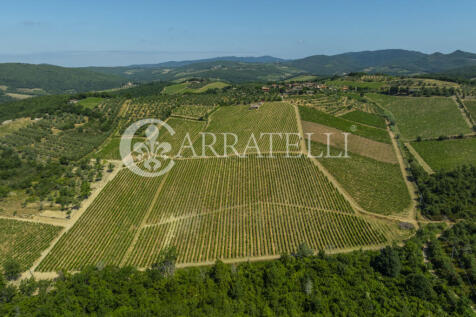 Colline del Chianti 