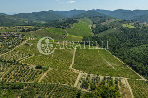 Colline del Chianti 