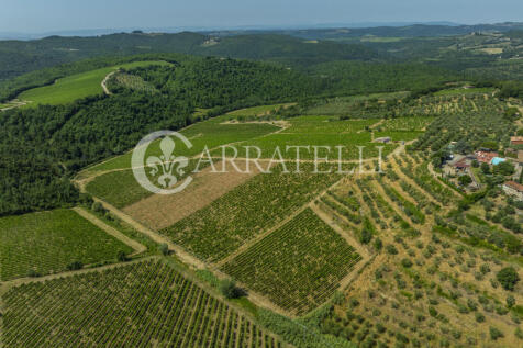 Colline del Chianti 