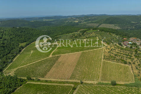 Colline del Chianti 