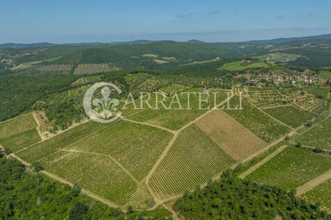 Colline del Chianti 