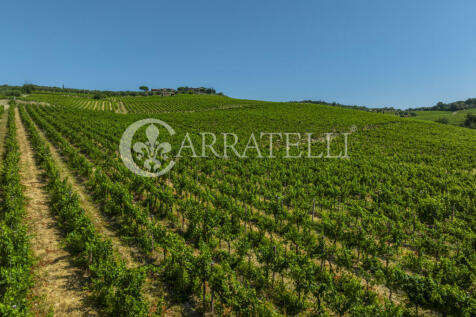 Colline del Chianti 