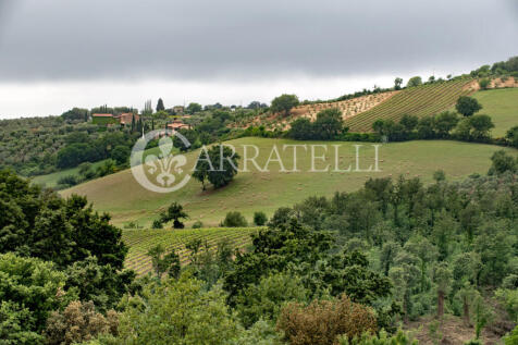 Casale con terreno a