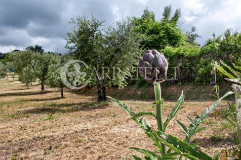 Casale con terreno a