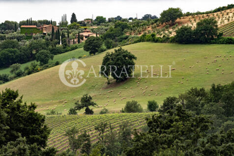 Casale con terreno a