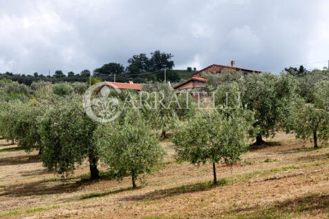 Casale con terreno a