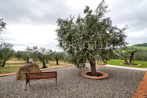 Casale con terreno a