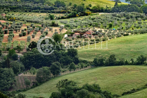 Casale con terreno a