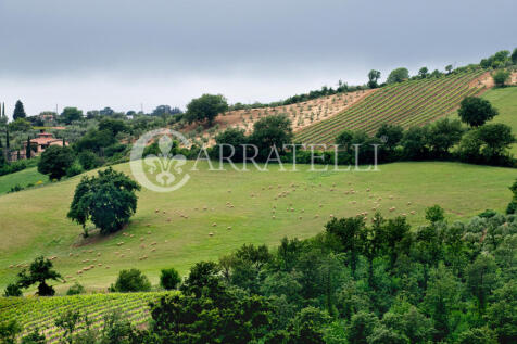 Casale con terreno a