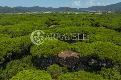 Pineta di Roccamare 