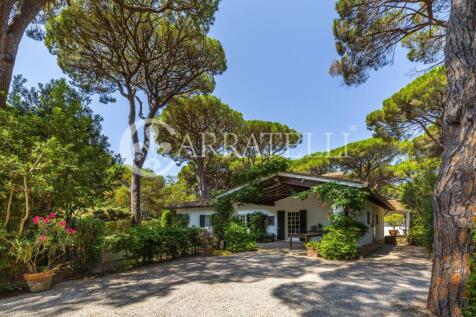 Pineta di Roccamare 