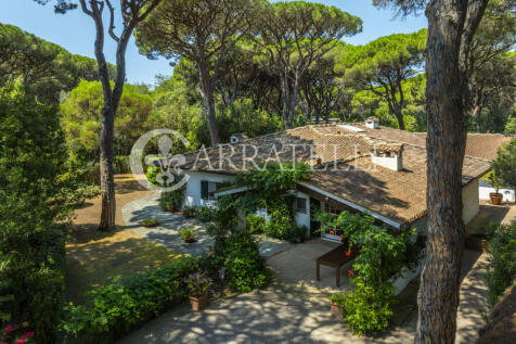 Pineta di Roccamare 