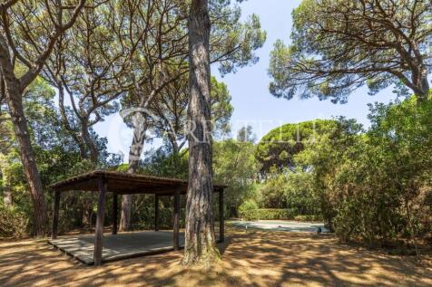 Pineta di Roccamare 
